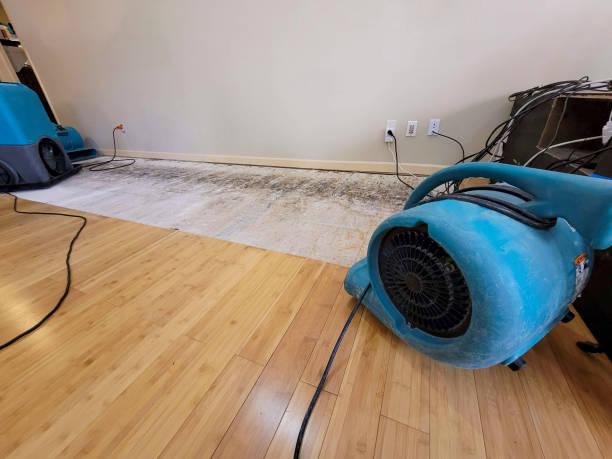Professional Burst Pipe Water Damage technician working in Rancho Cordova, CA